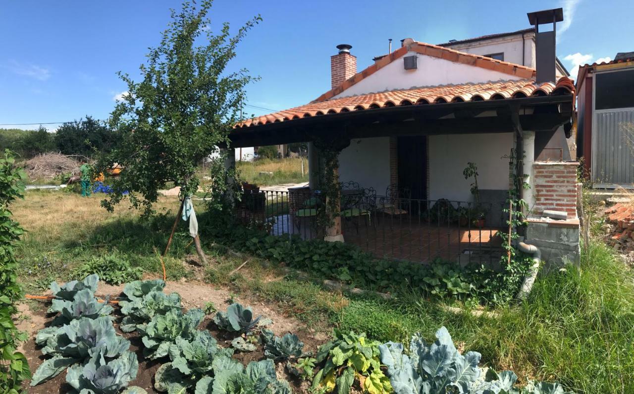 Casa De Pueblo Con Merendero Alquilable Opcionalmente Casarejos Zewnętrze zdjęcie